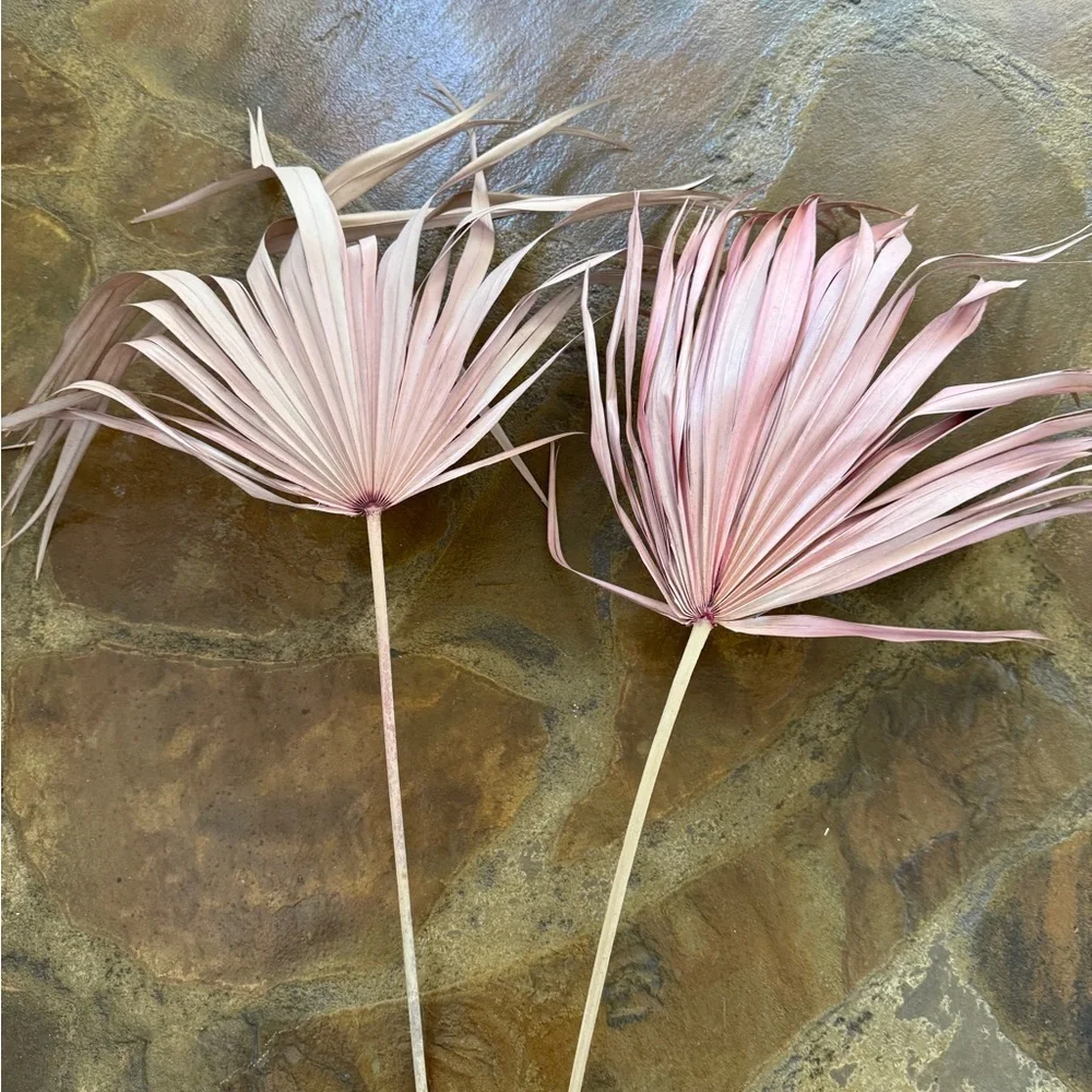 Set of 2 Anthropologie  Pink Terrain Dried Palm Fronds (2)